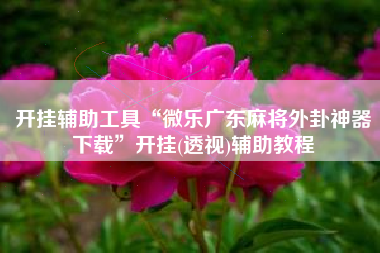 开挂辅助工具“微乐广东麻将外卦神器下载	”开挂(透视)辅助教程