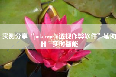 实测分享“pokerworld透视作弊软件	”辅助器 - 实时智能