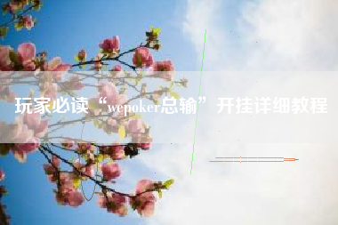 玩家必读“wepoker总输	”开挂详细教程