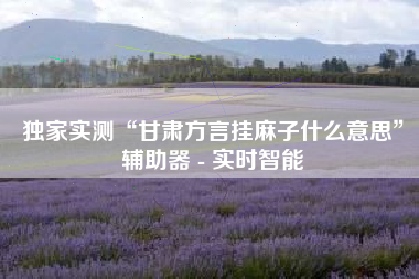 独家实测“甘肃方言挂麻子什么意思”辅助器 - 实时智能