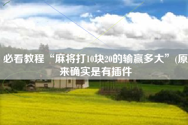 必看教程“麻将打10块20的输赢多大”(原来确实是有插件