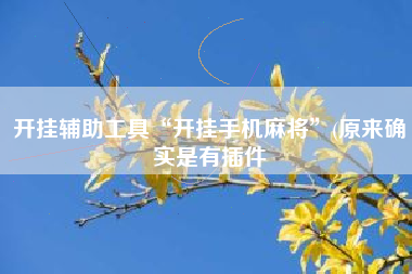 开挂辅助工具“开挂手机麻将	”(原来确实是有插件