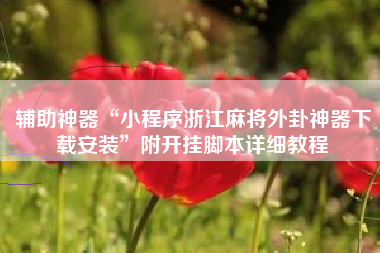 辅助神器“小程序浙江麻将外卦神器下载安装”附开挂脚本详细教程