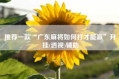 推荐一款“广东麻将如何打才能赢	”开挂(透视)辅助