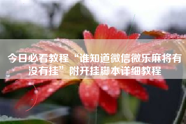 今日必看教程“谁知道微信微乐麻将有没有挂”附开挂脚本详细教程