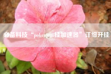 必备科技“pokemmo挂加速器”详细开挂