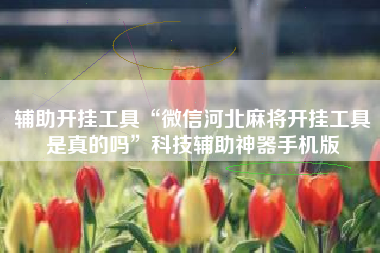 辅助开挂工具“微信河北麻将开挂工具是真的吗	”科技辅助神器手机版