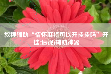教程辅助“情怀麻将可以开挂挂吗	”开挂(透视)辅助神器