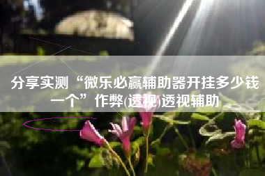 分享实测“微乐必赢辅助器开挂多少钱一个”作弊(透视)透视辅助