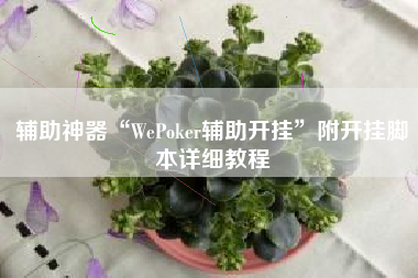 辅助神器“WePoker辅助开挂”附开挂脚本详细教程