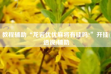教程辅助“龙岩优优麻将有挂吗?”开挂(透视)辅助