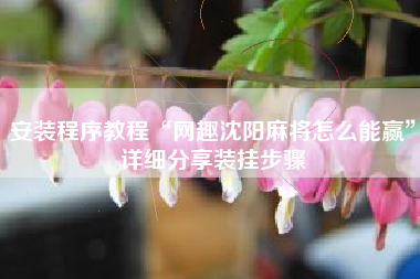 安装程序教程“网趣沈阳麻将怎么能赢”详细分享装挂步骤