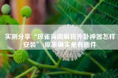 实测分享“琼雀海南麻将外卦神器怎样安装”(原来确实是有插件