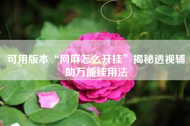 可用版本“网麻怎么开挂	”揭秘透视辅助万能挂用法