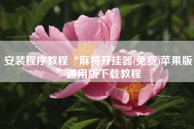 安装程序教程“麻将开挂器(免费)苹果版”通用版下载教程