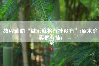 教程辅助“微乐麻将有挂没有	”(原来确实是有挂)
