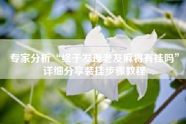 专家分析“终于发现老友麻将有挂吗”详细分享装挂步骤教程