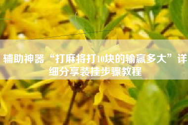 辅助神器“打麻将打10块的输赢多大”详细分享装挂步骤教程