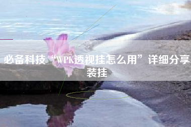 必备科技“WPK透视挂怎么用”详细分享装挂