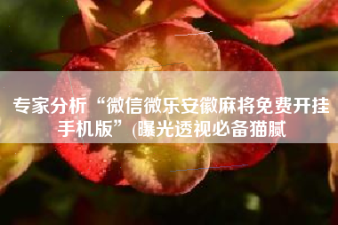 专家分析“微信微乐安徽麻将免费开挂手机版”(曝光透视必备猫腻