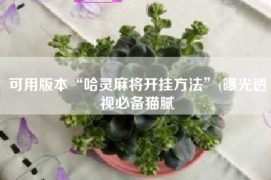 可用版本“哈灵麻将开挂方法”(曝光透视必备猫腻