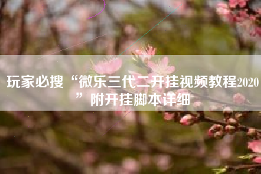 玩家必搜“微乐三代二开挂视频教程2020	”附开挂脚本详细