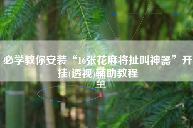 必学教你安装“16张花麻将扯叫神器”开挂(透视)辅助教程