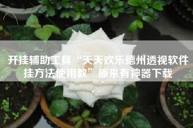 开挂辅助工具“天天欢乐德州透视软件挂方法使用教”原来有神器下载