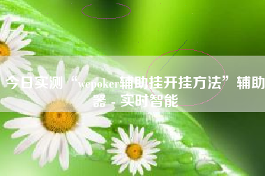 今日实测“wepoker辅助挂开挂方法”辅助器 - 实时智能
