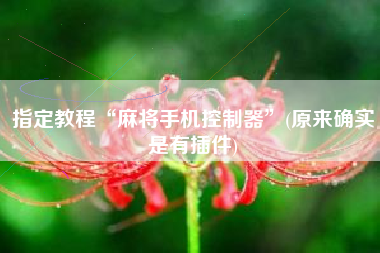 指定教程“麻将手机控制器	”(原来确实是有插件)