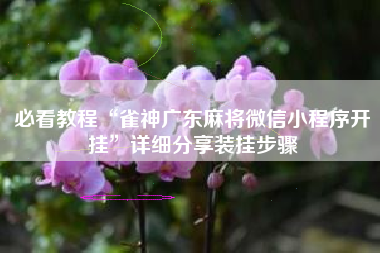 必看教程“雀神广东麻将微信小程序开挂”详细分享装挂步骤