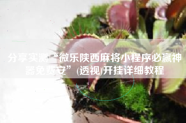 分享实测“微乐陕西麻将小程序必赢神器免费安”(透视)开挂详细教程