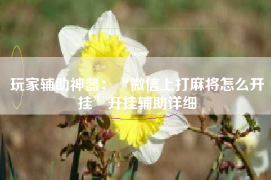 玩家辅助神器：“微信上打麻将怎么开挂	”开挂辅助详细