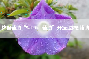 教程辅助“WePOKer辅助”开挂(透视)辅助