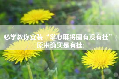 必学教你安装“掌心麻将圈有没有挂”(原来确实是有挂)