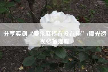 分享实测“爱来麻将有没有挂”(曝光透视必备猫腻