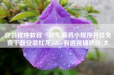安装程序教程“微乐麻将小程序开挂免费下载安装红龙poker有透视辅助挂(太